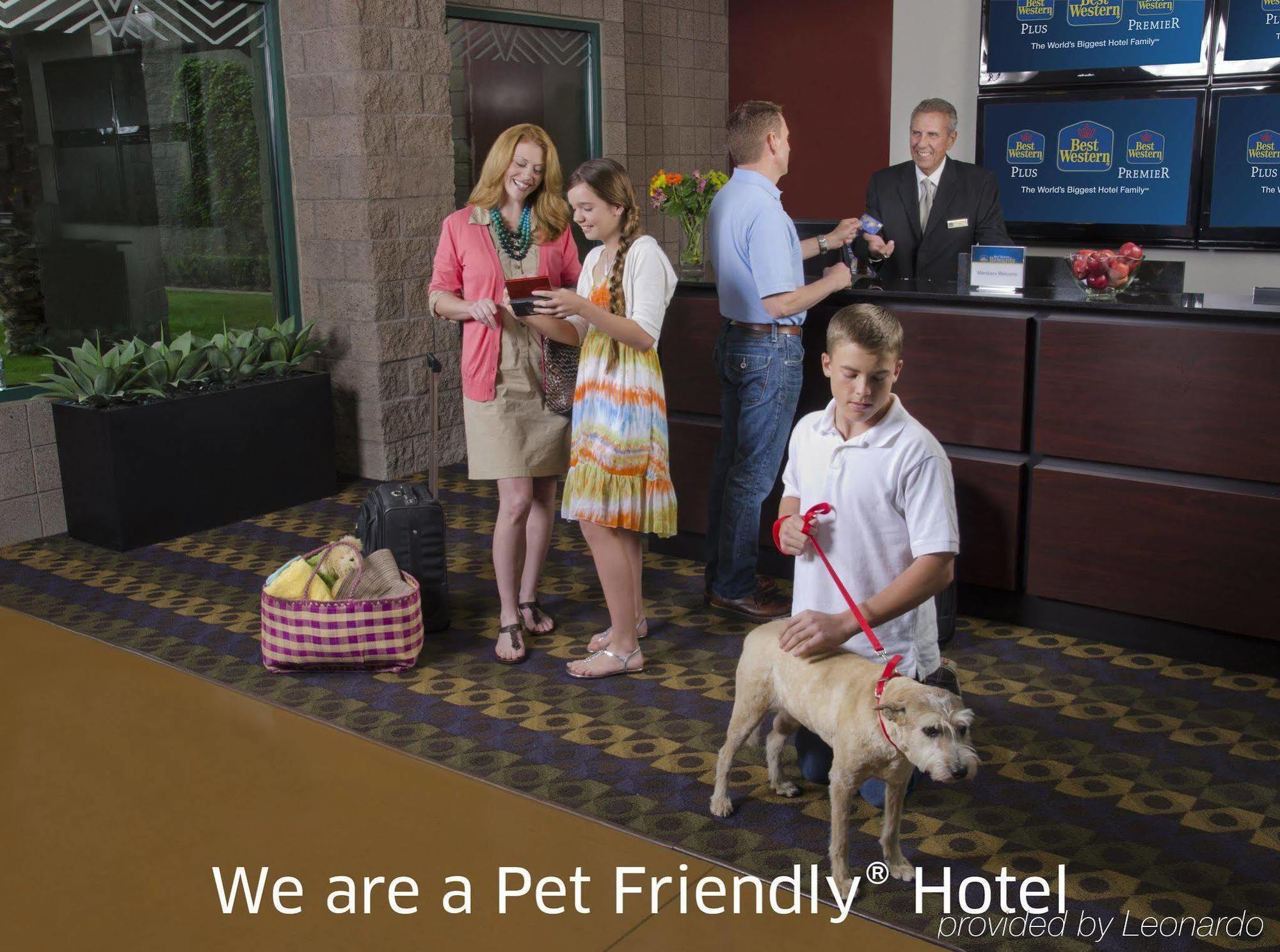 Best Western Conway Esterno foto